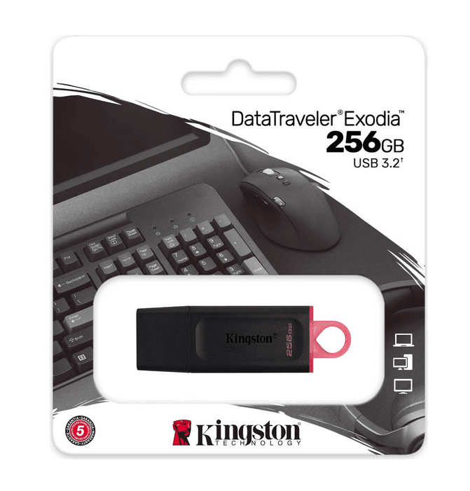 Kingston PenDrive 256Gb 3.2 DTX/256GB (Black)